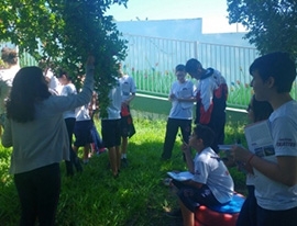Estudando a Biodiversidade - 7º ano - Fund II 2018